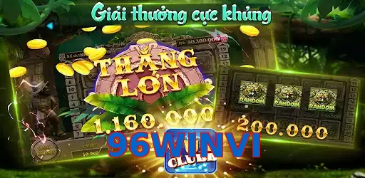 96WINVI
